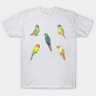 Colourful Conures Sticker Pack T-Shirt